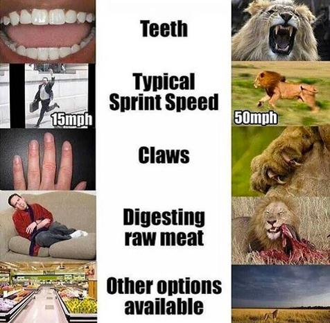 omnivore human